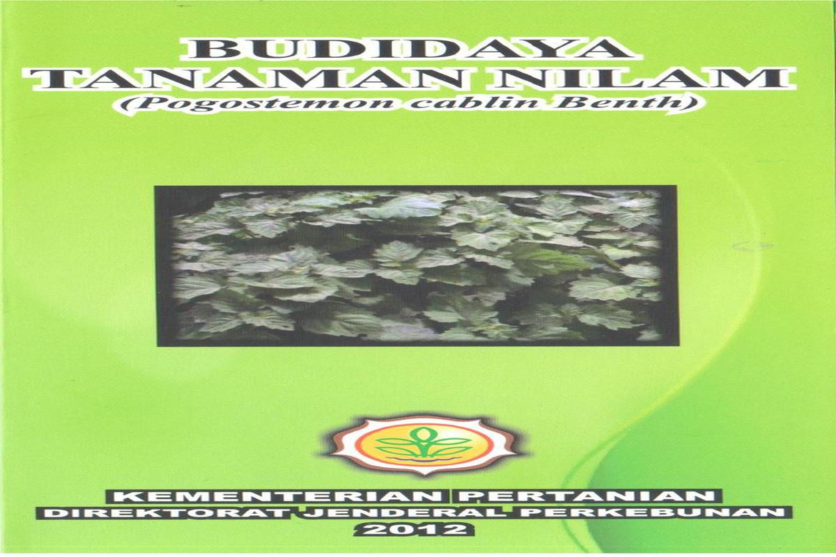Manfaat Tanaman Nilam Untuk Kesehatan