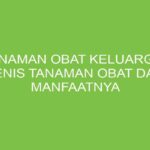 Manfaat Tanaman Obat
