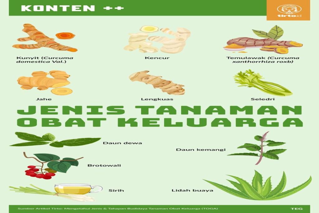 Manfaat Tanaman Obat Keluarga
