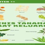 Manfaat Tanaman Obat Keluarga