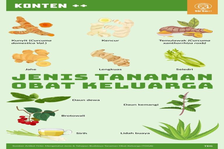 Manfaat Tanaman Obat Keluarga