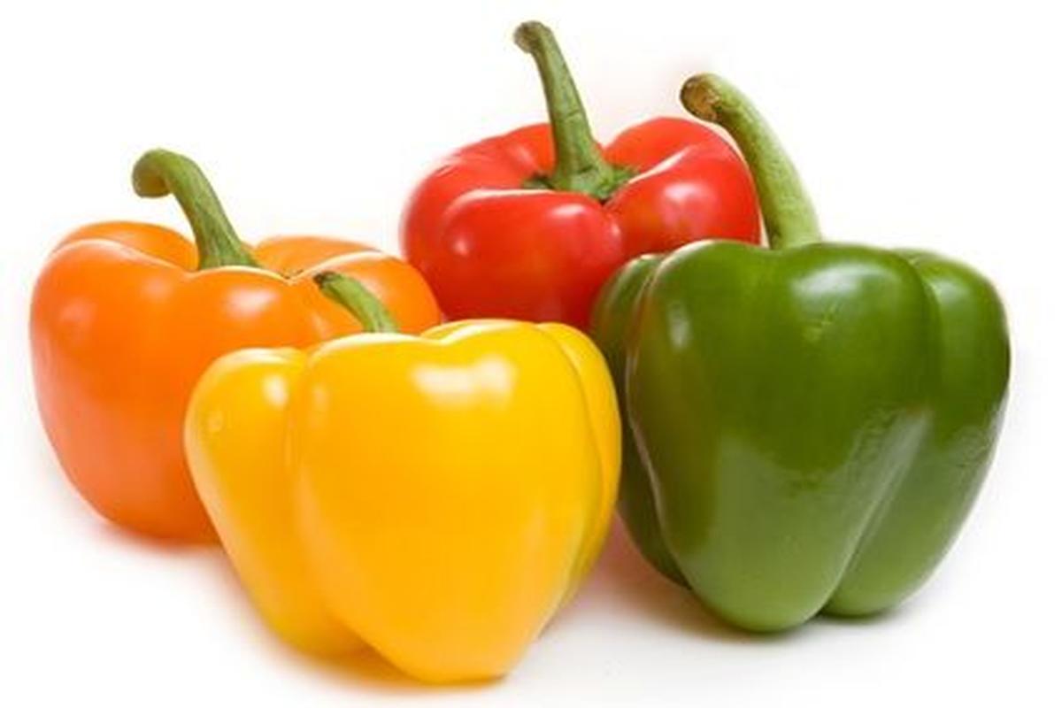 Manfaat Tanaman Paprika