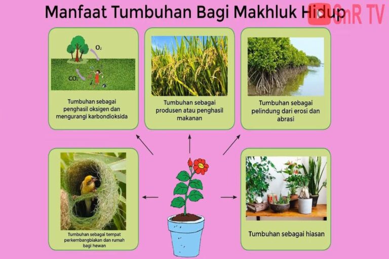 Manfaat Tanaman Quark