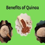 Manfaat Tanaman Quinoa