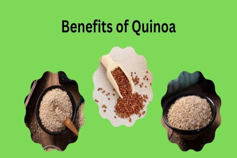 Manfaat Tanaman Quinoa