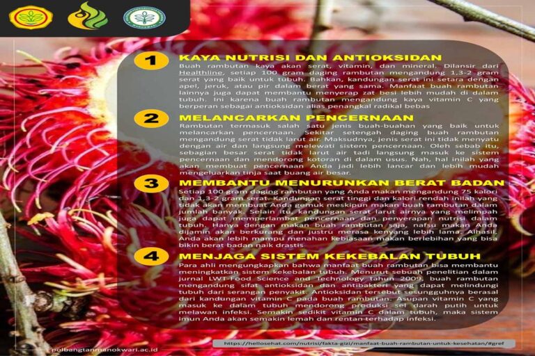 Manfaat Tanaman Rambutan