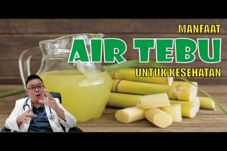Manfaat Tanaman Tebu