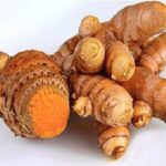 Manfaat Tanaman Temulawak