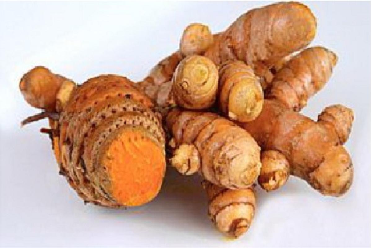 Manfaat Tanaman Temulawak