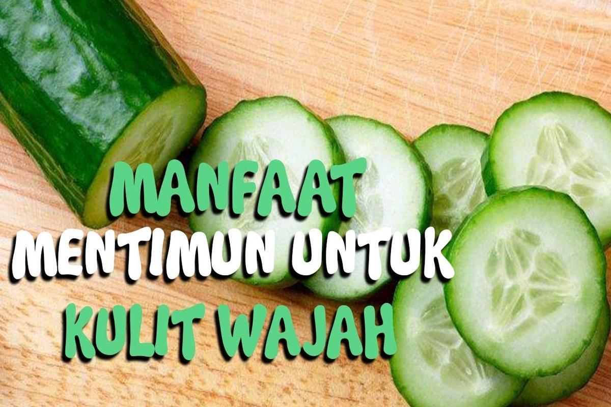 Manfaat Tanaman Timun