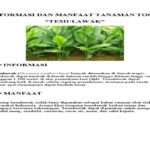 Manfaat Tanaman Toga