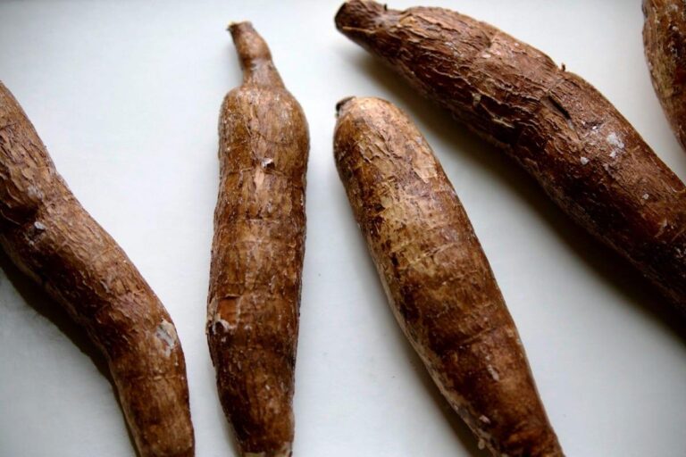 Manfaat Tanaman Ubi Kayu