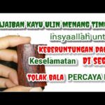 Manfaat Tanaman Ulin