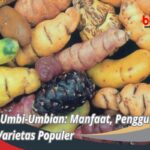 Manfaat Tanaman Umbi-Umbian