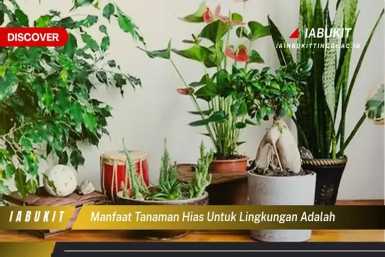 Manfaat Tanaman Untuk Lingkungan