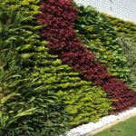 Manfaat Tanaman Vertical Garden