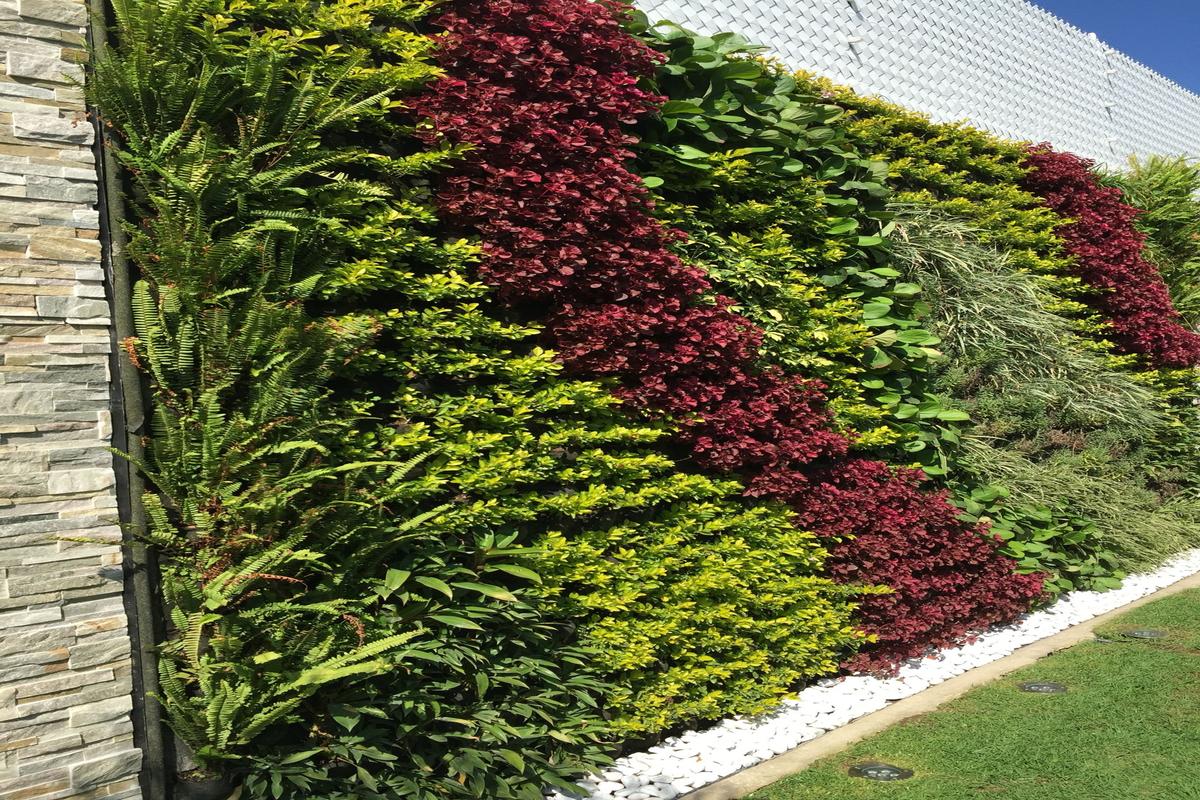 Manfaat Tanaman Vertical Garden