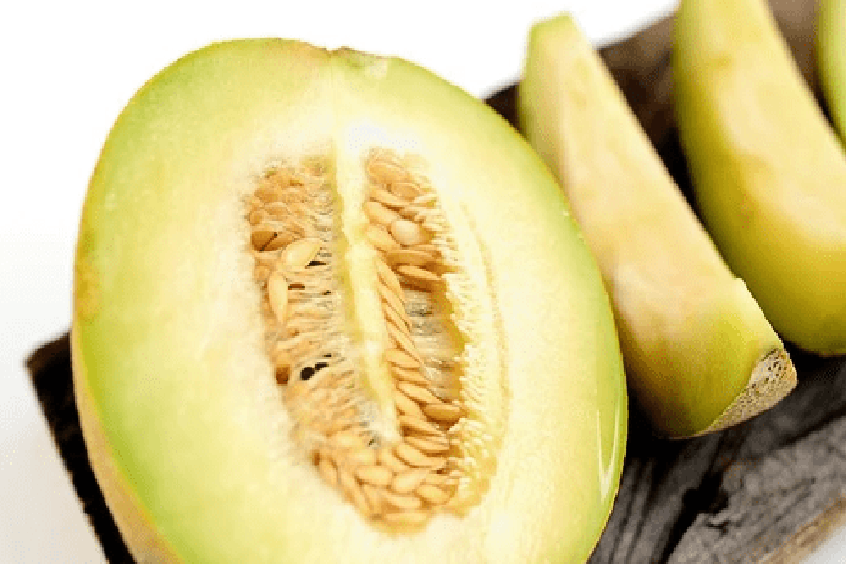 Manfaat Tanaman Watermelon