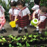 Manfaat Tanaman Yang Ada Di Sekolah