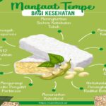 Manfaat Tempe