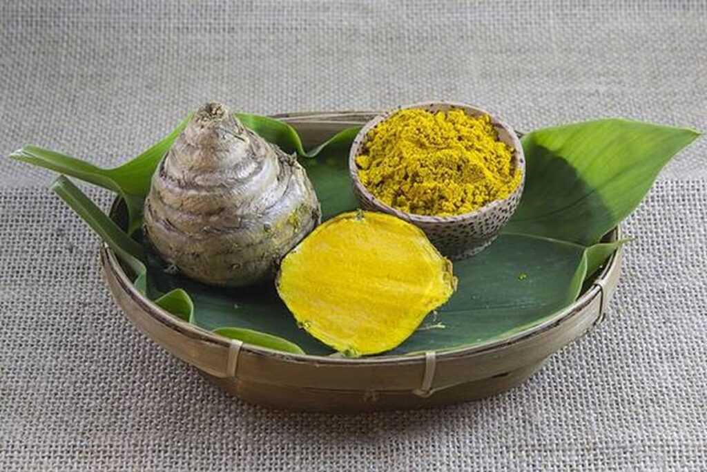 Manfaat Temulawak Untuk Kesehatan