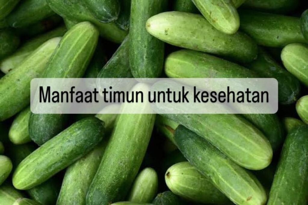 Manfaat Timun Untuk Kesehatan