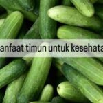 Manfaat Timun Untuk Kesehatan