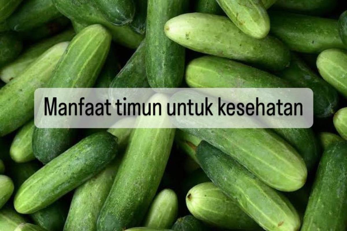 Manfaat Timun Untuk Kesehatan