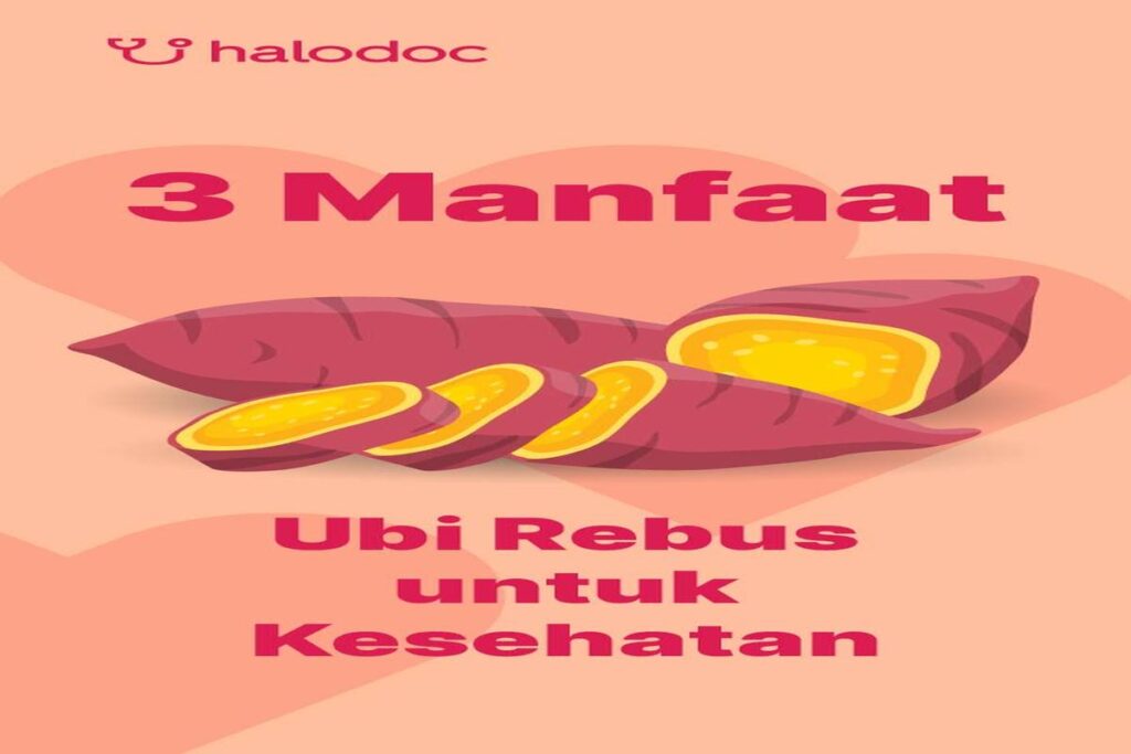 Manfaat Ubi Rebus