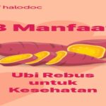 Manfaat Ubi Rebus