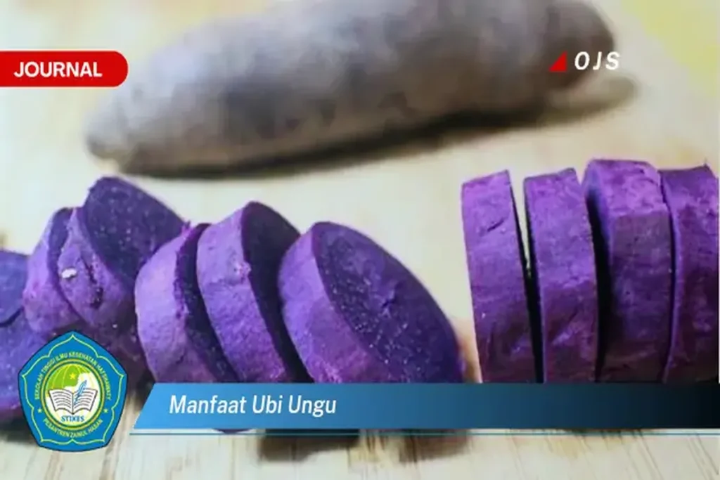 Manfaat Ubi Ungu