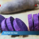 Manfaat Ubi Ungu