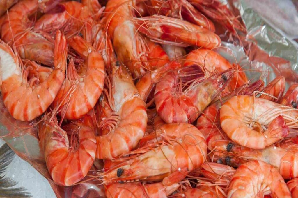Manfaat Udang