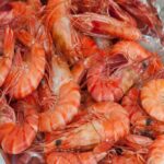 Manfaat Udang