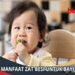 Manfaat Zat Besi Untuk Bayi